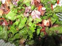 Salad W/ Raspberry Dressing3.jpg